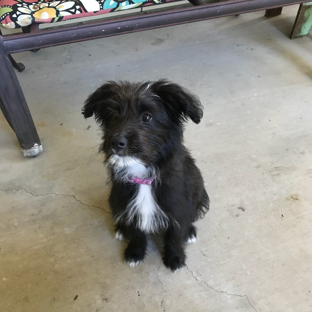 Meet your Posher, Jennifer